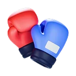 boxing icon