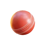 cricket icon